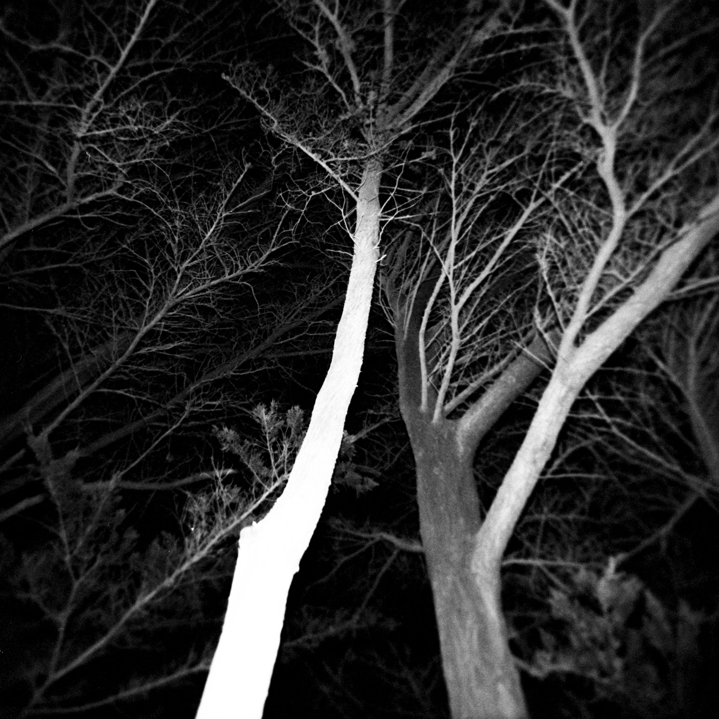 godley after dark